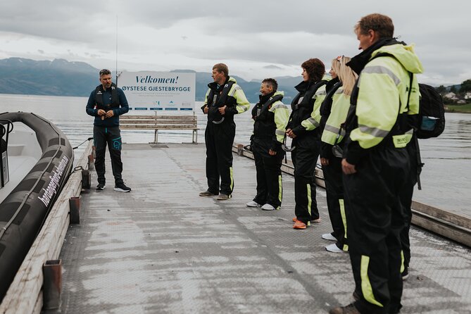 Hardangefjord Exclusive & Private RIB Adventure From Øystese