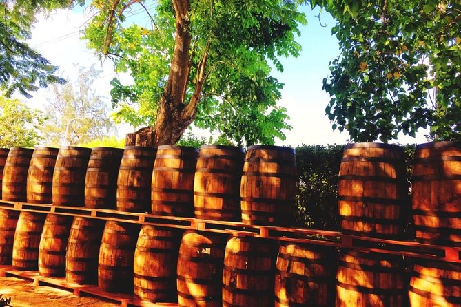 Harrisons Cave and Mount Gay Rum Tour - Inclusions