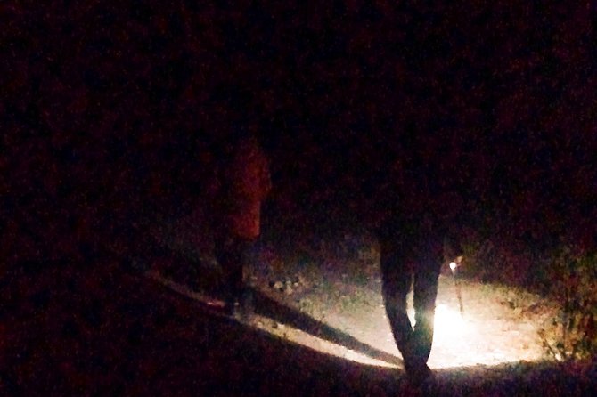 Haunted Walk
