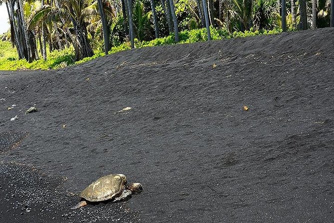 Hawaii Volcanoes National Park Experience From Kona Big Island