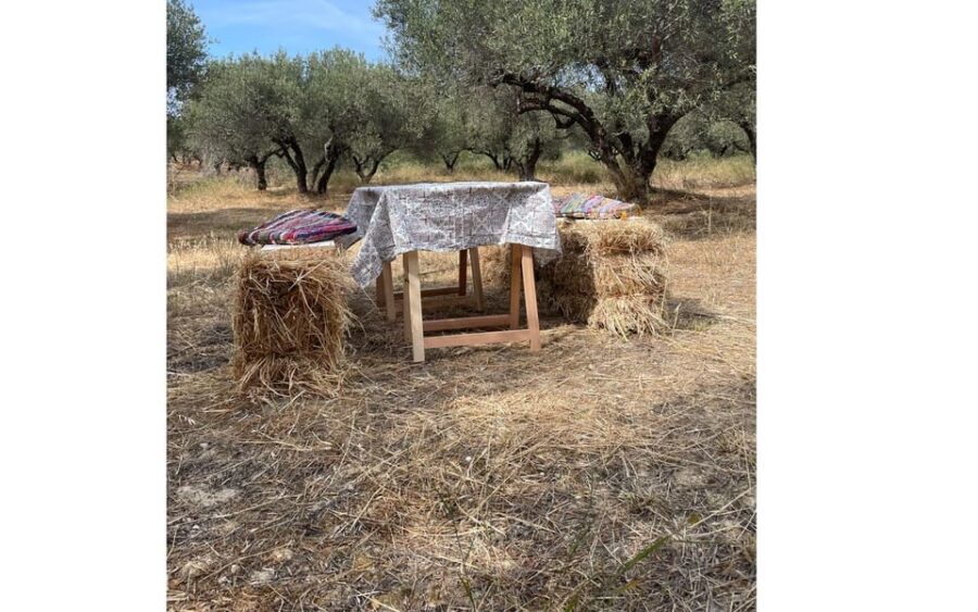 Heraklion :Olive & Dragon Farm Tour & Cretan Farmers Brunch