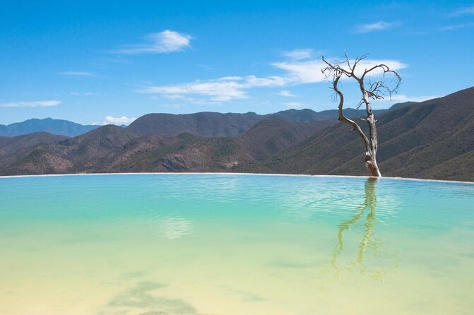 Hierve El Agua, Tule Tree, Mitla and Mezcal Distillery Tour