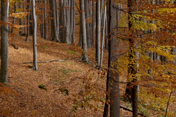 2 Best National Park Tours In Sofia