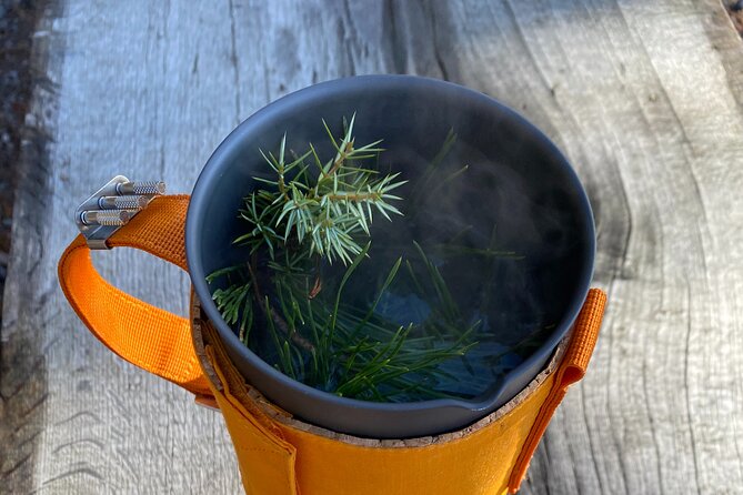 Hike With Wild Forage Surviving Tips and Local Lunch at the Lake