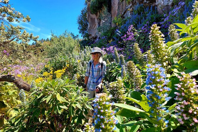 Hikes in the Green Gran Canaria