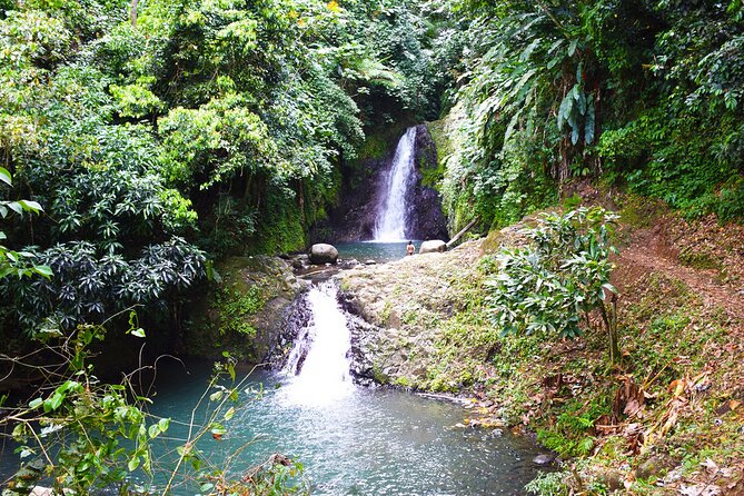 Hiking and Nature Rehabilitation Tour