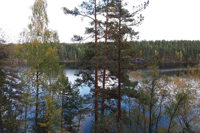 Hiking Around Forest and Lake