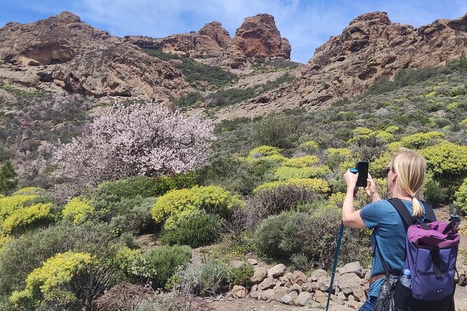 Hiking in the Sacred Mountains of Gran Canaria: UNESCO