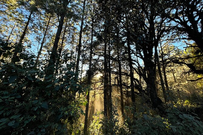 Hiking in the Sierra Norte of Oaxaca