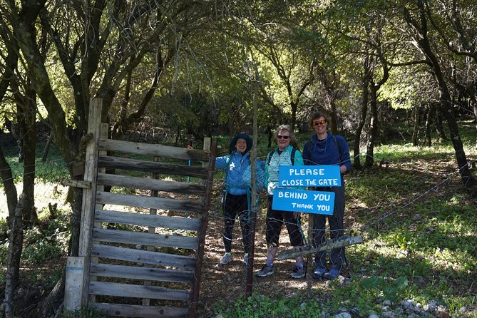 Hiking Profitis Ilias Mountain - Pick up Service Available - Pricing and Availability