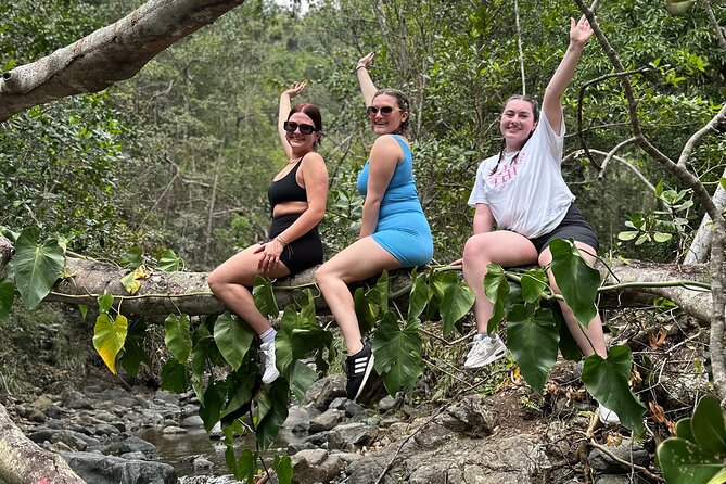 Hiking Tour and Play in Charco El Pilon