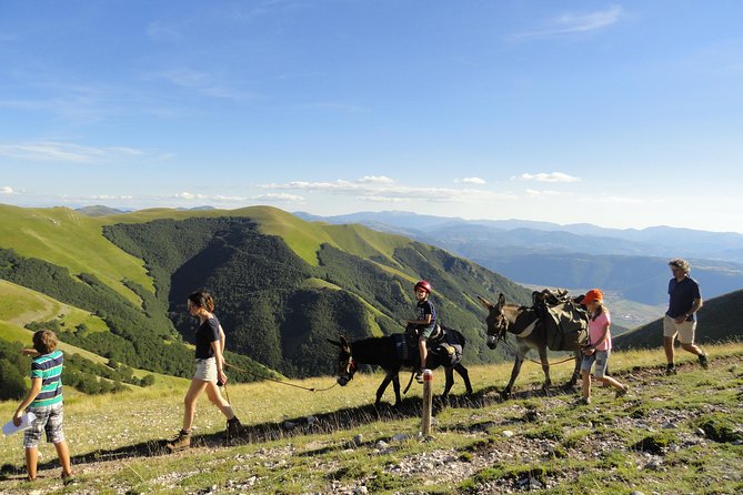 Hiking With Donkeys