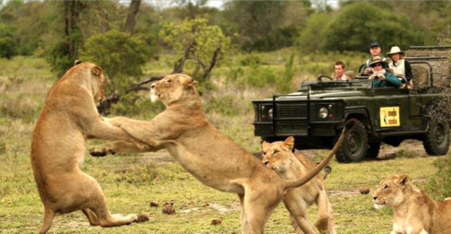 Hluhluwe Imfolozi Big 5 Full Day Tour From Durban