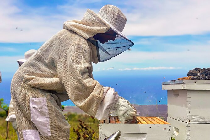 Honey Bee Adventure at the Maui Honey Bee Sanctuary