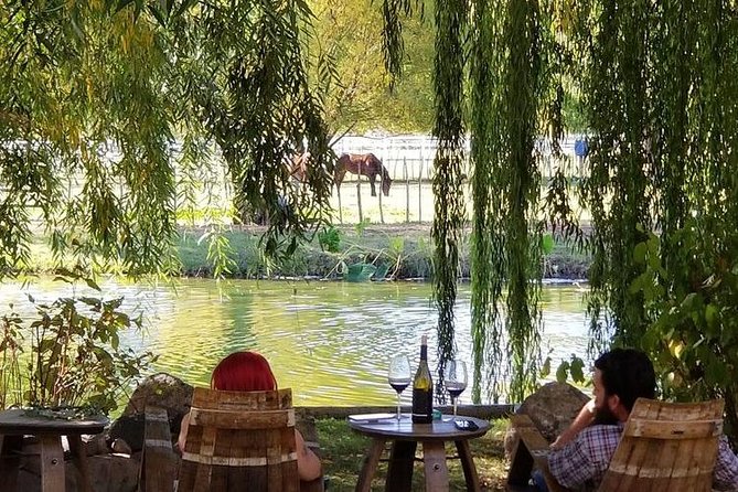 Horse Country Estate and Vineyard Wine Tasting Tour - Equestrian Estate Experience