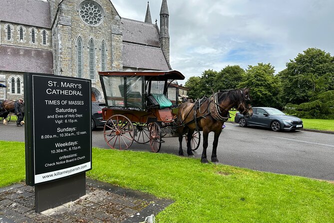 Horse-Drawn Carriage Tours in Killarney - Meeting and Pickup Information
