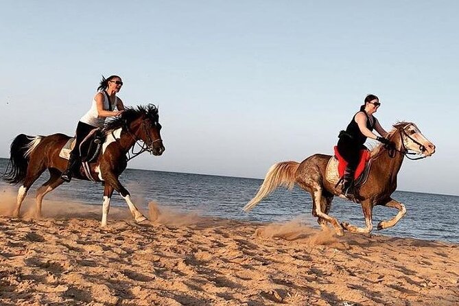 Horse Ride Trip , Bedouin Dinner And Show – Sharm El Sheikh