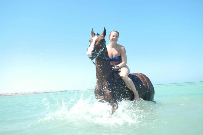 Horse Riding 3 Hours Desert Beach Swimming by Horse in Hurghada