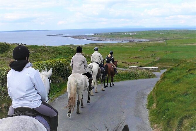 Horse Riding - Dirt Trek Trail. Lisdoonvarna, Clare. Guided. 1 Hour. - Meeting Point and Pickup