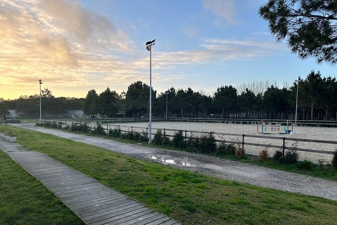 Horse Riding in Aveiro - Ílhavo - Meeting and End Point