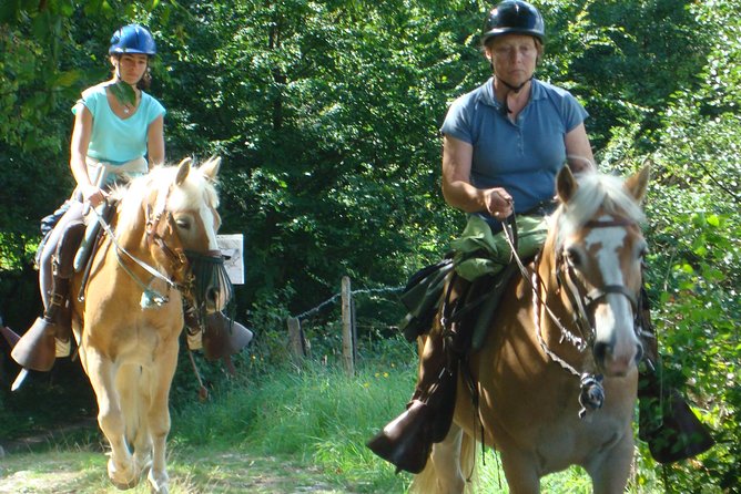 French Riding Tools Horse Riding in the French Countryside | Travel Buddies