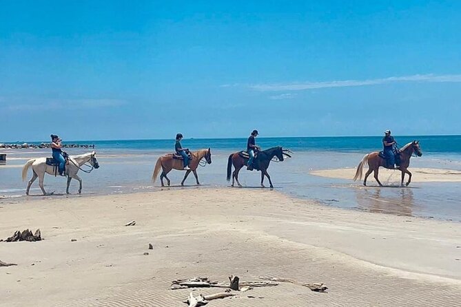 Horse Riding Tour at the Beach in Miami - About the Tour