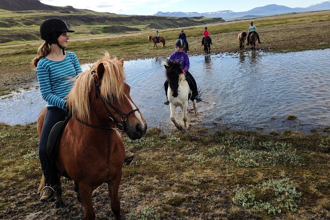 Horse Riding Tour to the Glacier River Delta With Waterfall - Overview of the Excursion