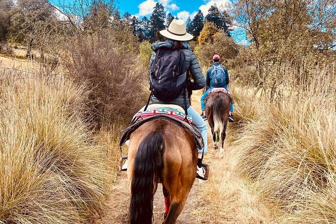 Horseback in the Mountains & Food in Our Ranch - Overview of the Experience