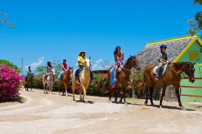 Horseback Ride and Swim Excursion From Kingston