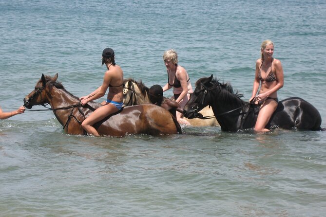 Horseback Riding and Beach BBQ in St Lucia - Meeting and Pickup Information
