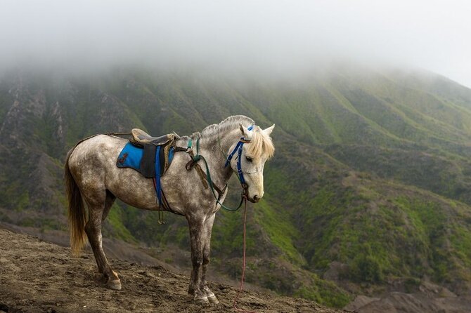 Horseback Riding at Arenal Volcano Foothills - Horseback Riding Details