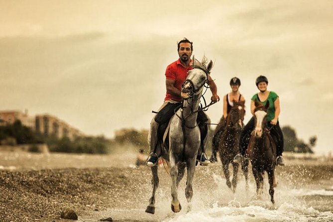 Horseback Riding From Kusadasi Port / Hotels - Overview and Experience