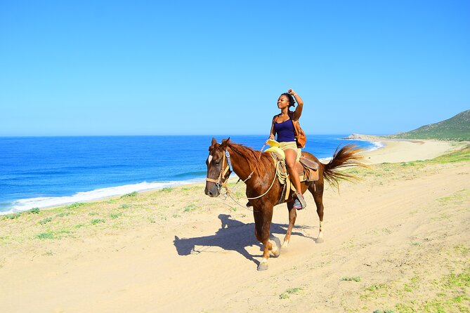 Horseback Riding Tour Los Cabos - Tour Overview and Ratings