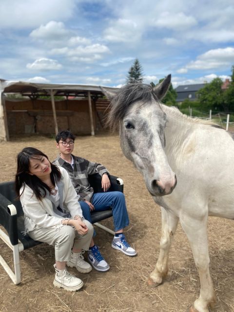 Horseback Riding Tour Near Prague