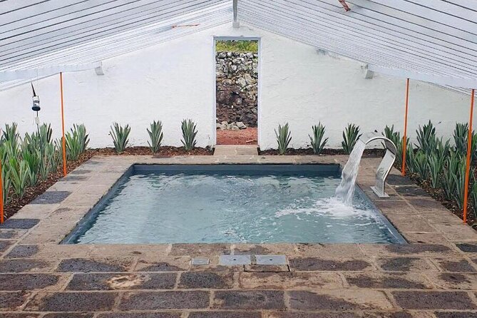 Hot Water Pool Bath Inside Pineapple Plantation & Dinner