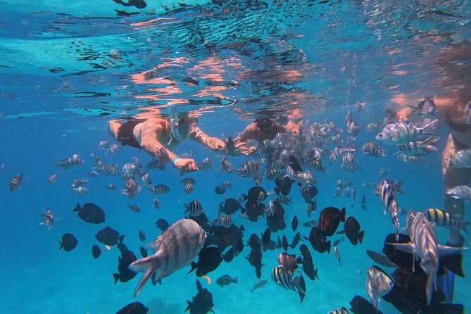 Hurghada Speedboat Trip to Orange Bay and Magawish Islands