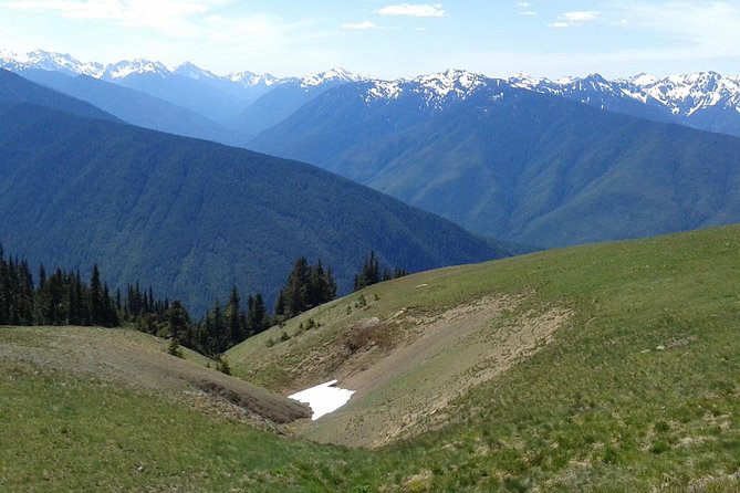 Hurricane Ridge Olympic National Park From Seattle