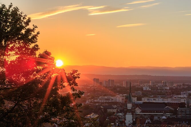 I Came, I Saw, I Drank Wine – the Freiburg Wine Hike