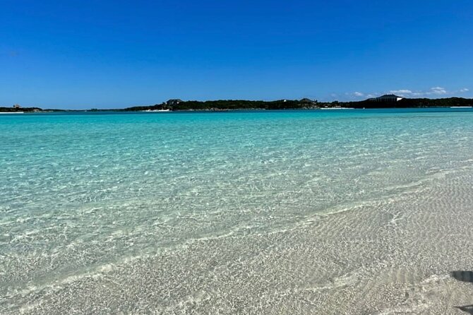 Iguanas , Sharks & Swimming Pigs Exuma Private Tour (8hrs)