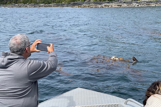 Inside Waters Wildlife and Scenery Tour