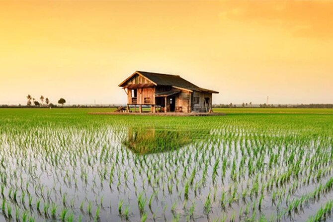 Instagrammable Kuala Selangor Sky Mirror Tour With Transfer