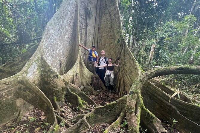 Iquitos: Secret to Black River | Full Day