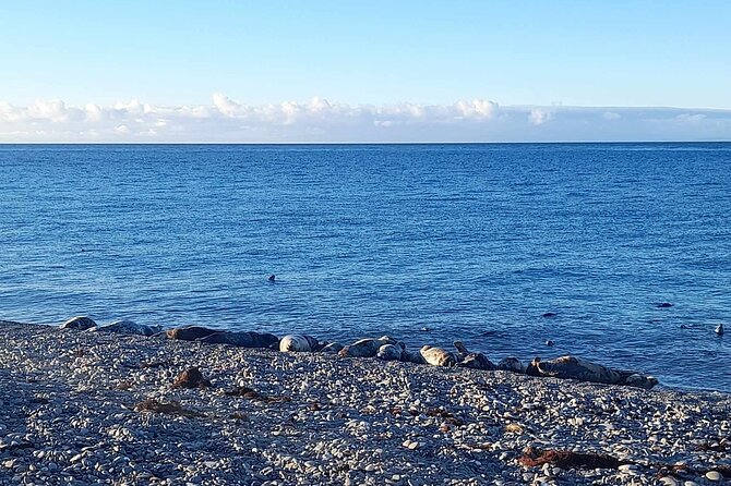Isle of Man Wildlife & Scenic Adventure With Wildlife Enthusiast