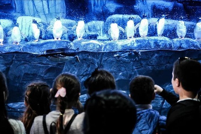 Istanbul Aquarium and Aqua Florya Independent Shopping Trip - Aquarium Experiences