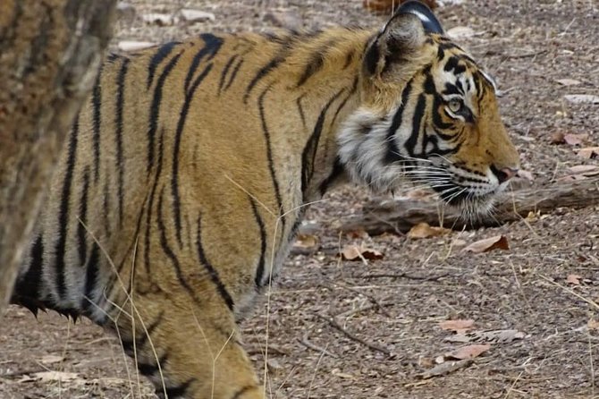 Jaipur Tour Package 02 Days