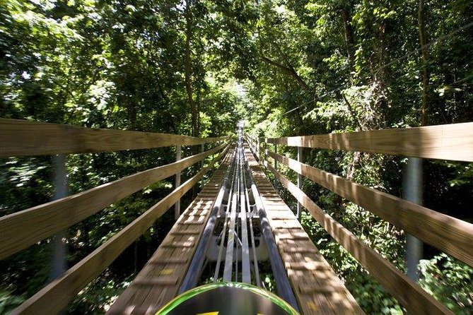 Jamaica Bobsled Adventure Tour (Mystic Silver) From Runaway Bay