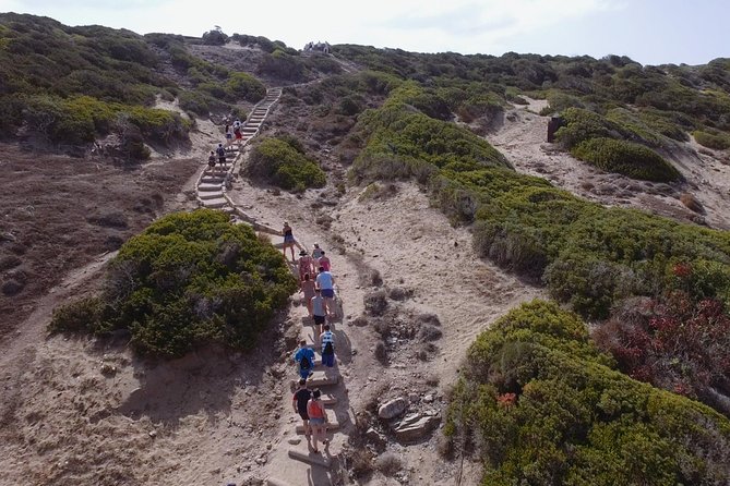 Jeep Safari Akamas Expedition From Limassol