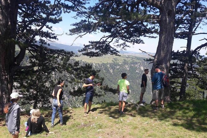 Jeep Safari National Park Durmitor