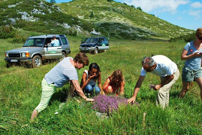 3 Best National Park Tours In Ohrid