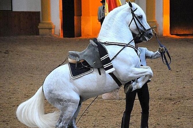 Jerez Historic Guided Tour With Horse Show